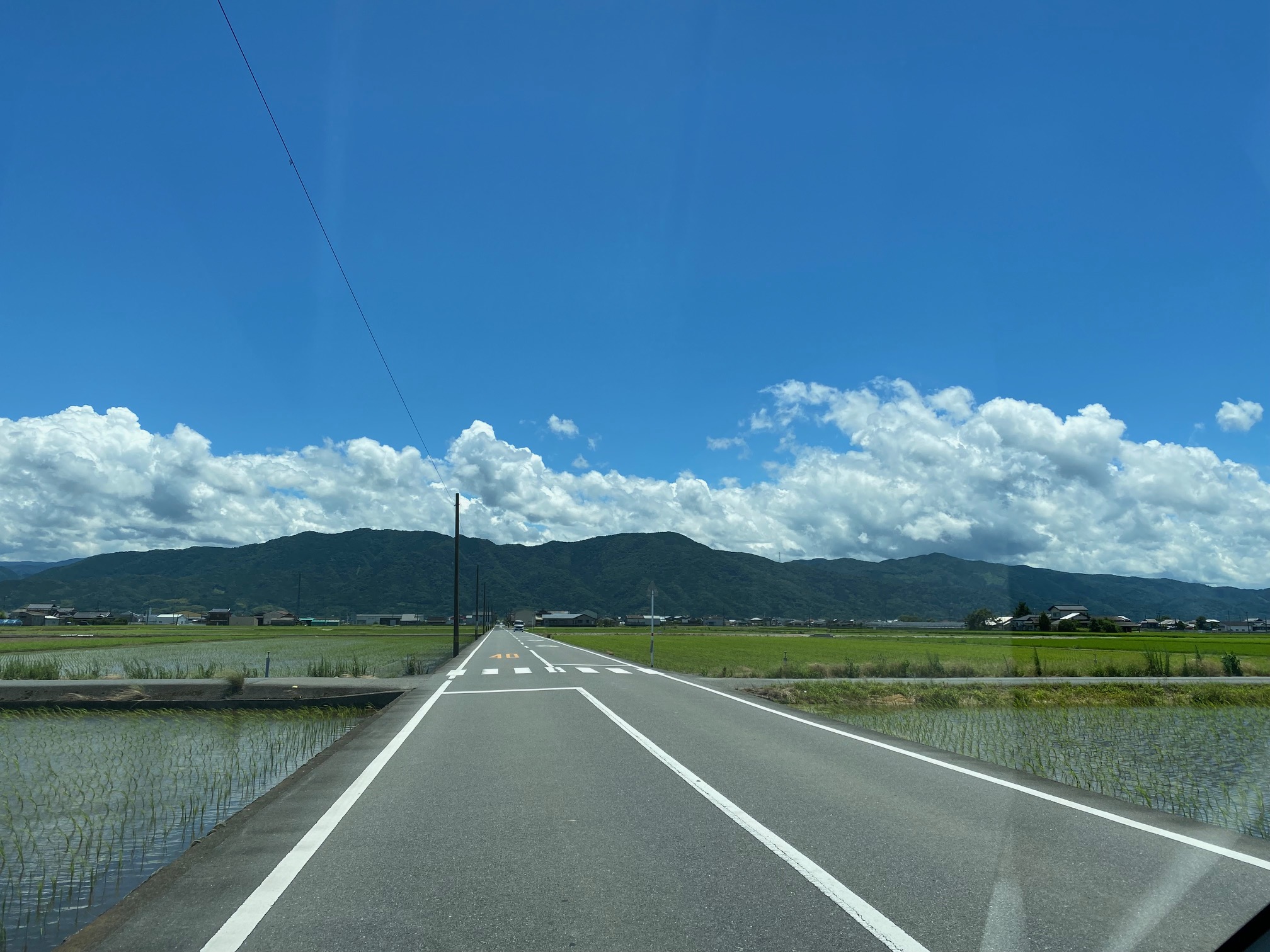 ８月のスケジュール