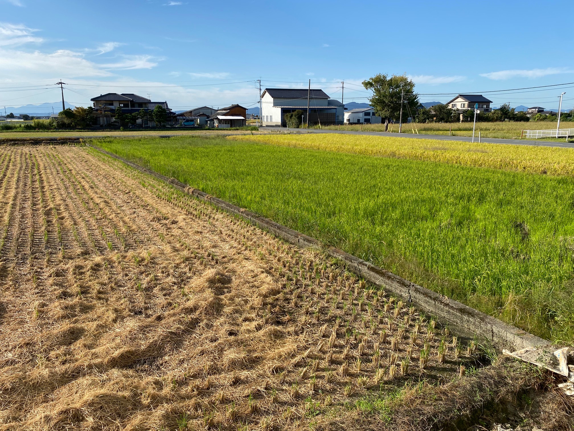 １０月のスケジュール