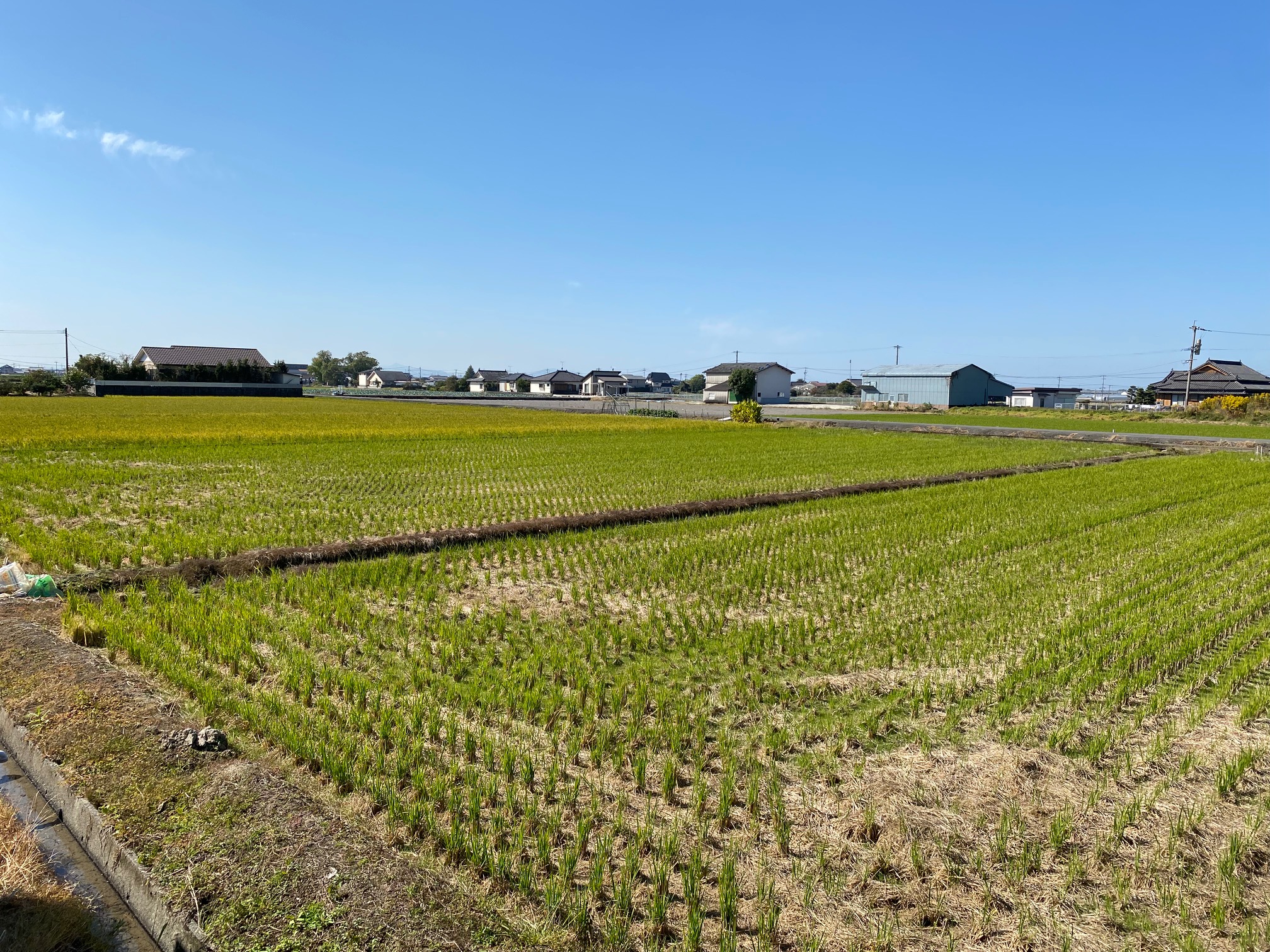 １１月のスケジュール