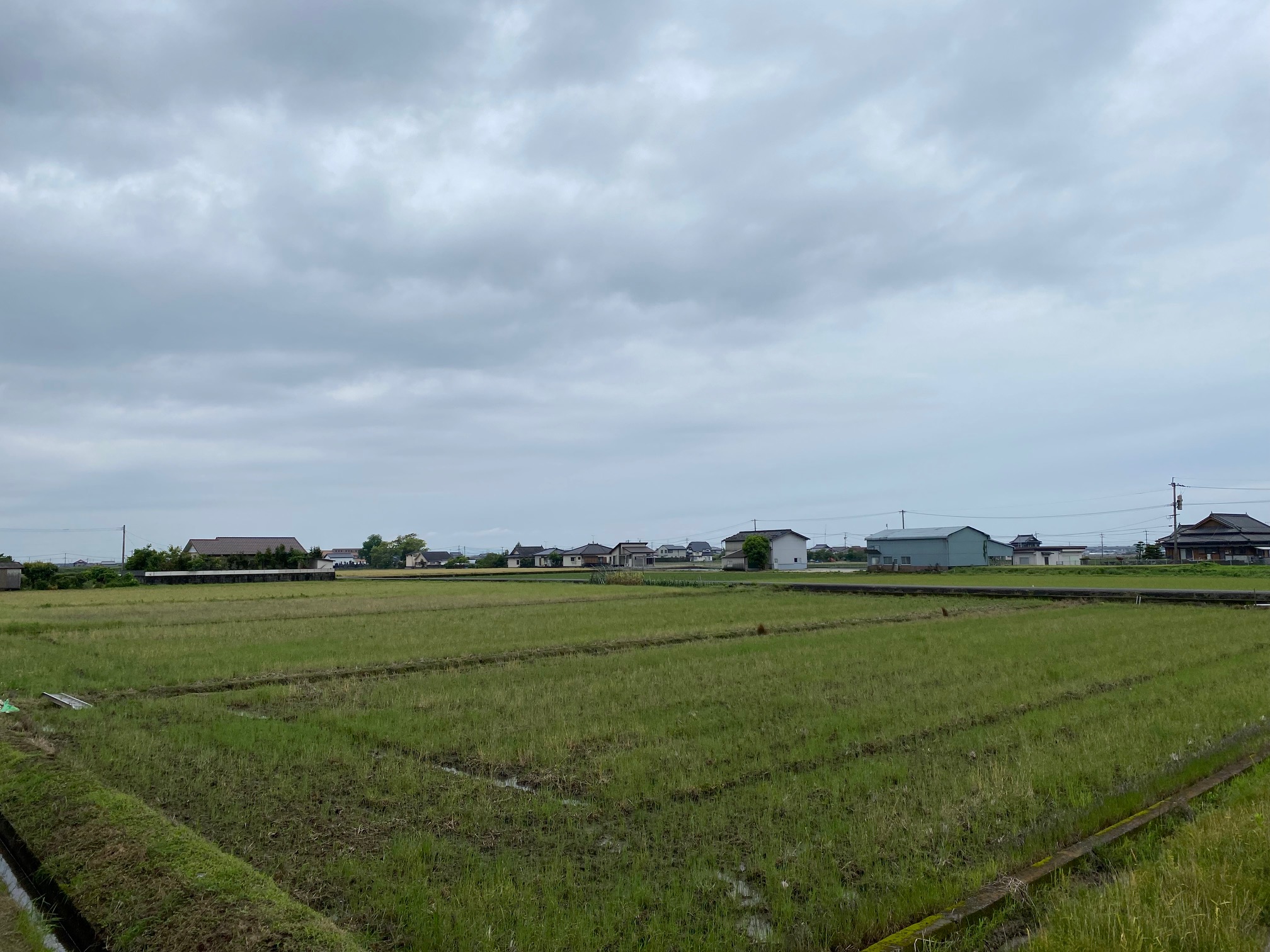 ５月のスケジュール