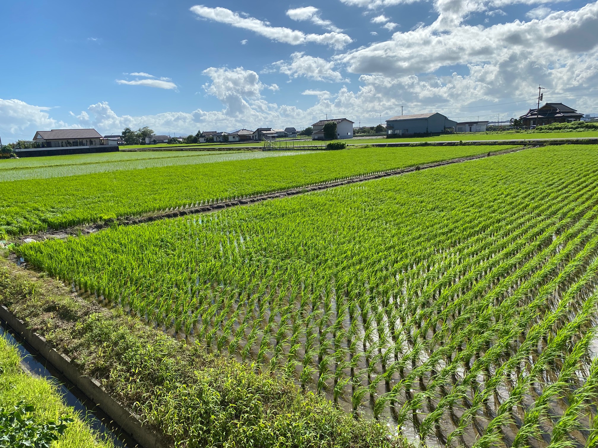 ７月のスケジュール