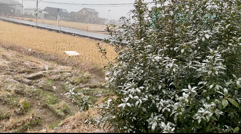 令和7年2月スケジュール 令和7年2月スケジュール