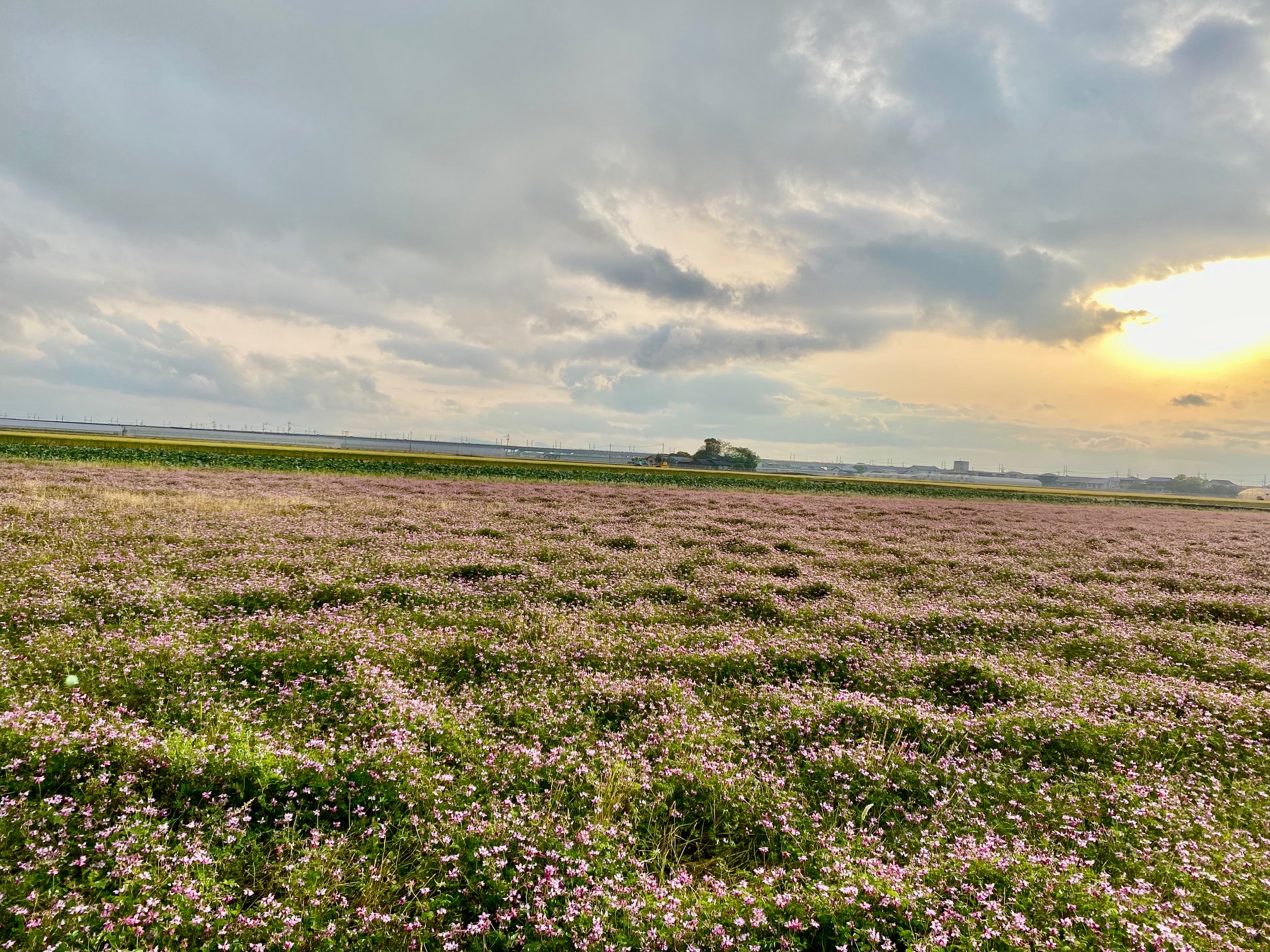 令和7年5月スケジュール 令和7年5月スケジュール
