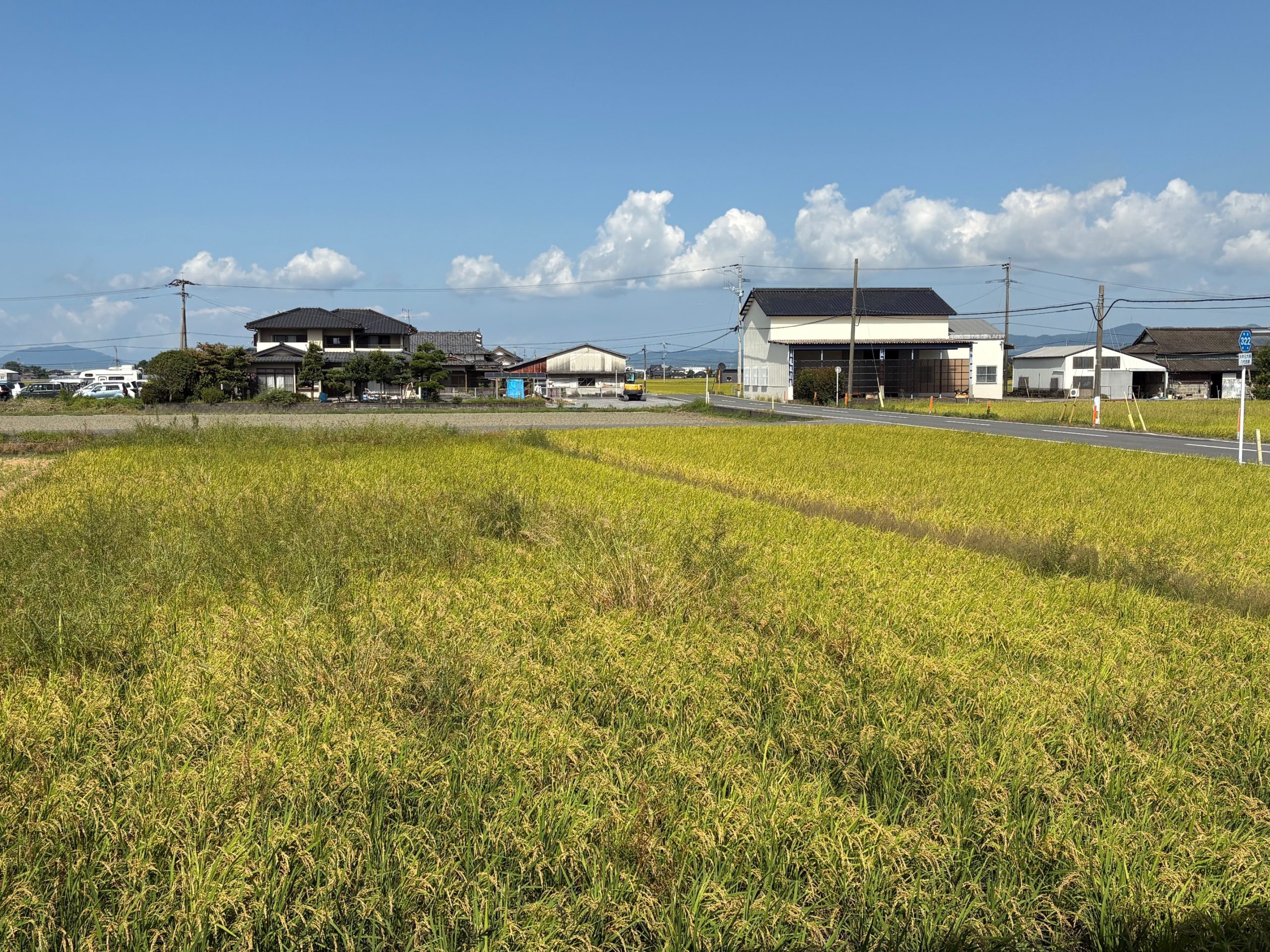 令和7年10月スケジュール 令和7年10月スケジュール