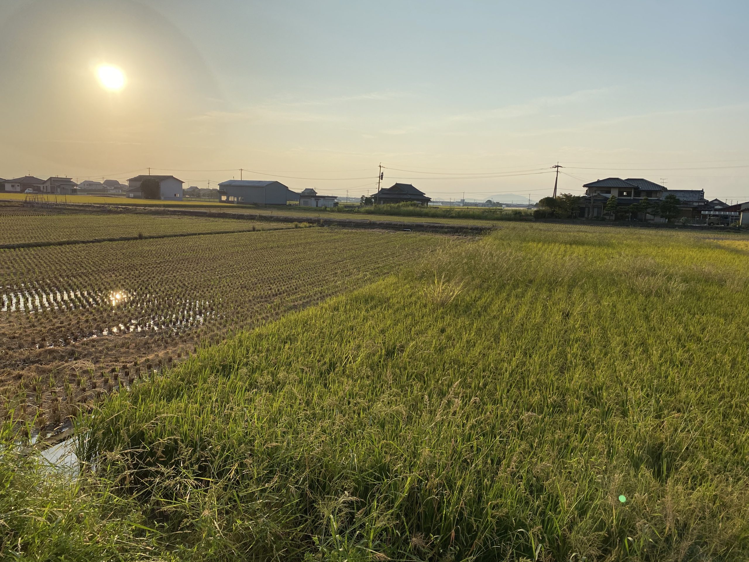 令和７年１２月スケジュール